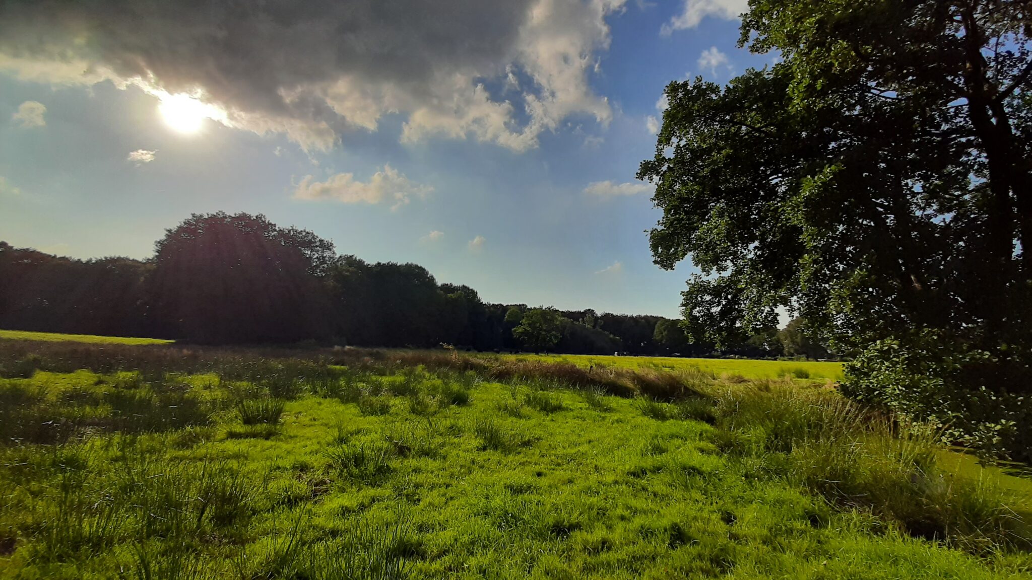 natuur weiland wolken zonnestraal