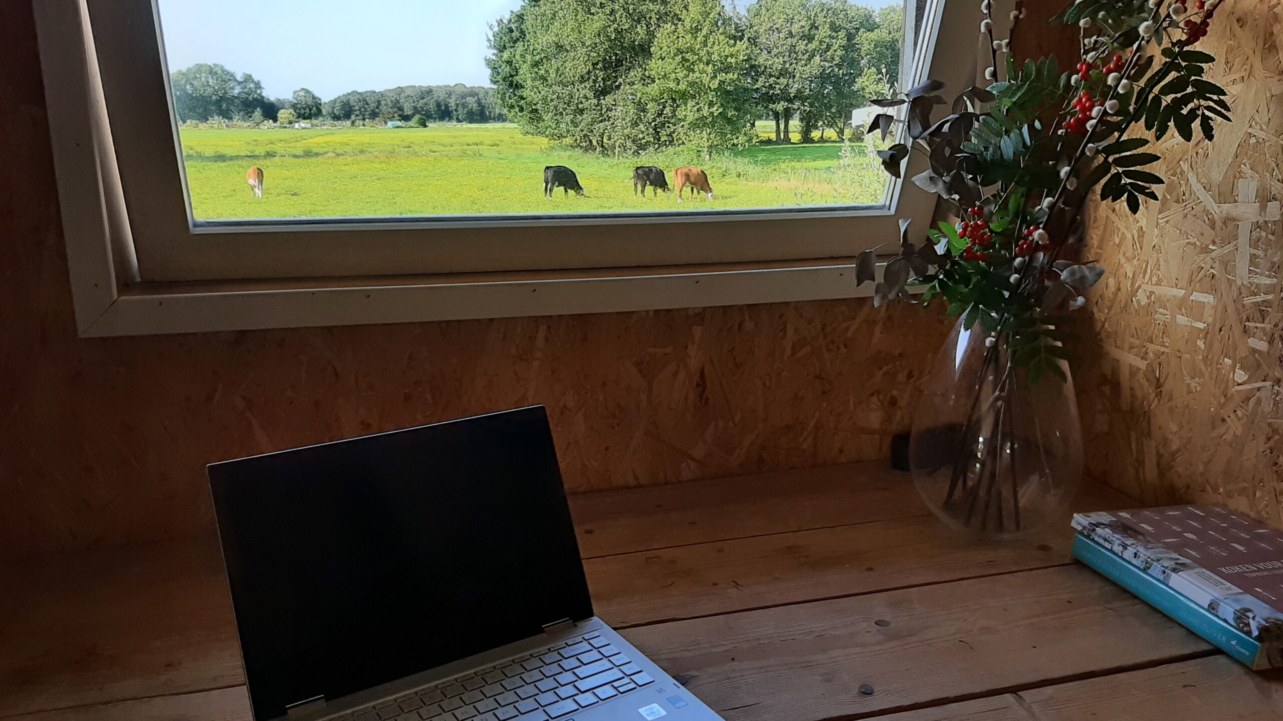 laptop bureau uitzicht